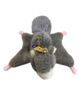 Wing Dinger - Flying Squirrel