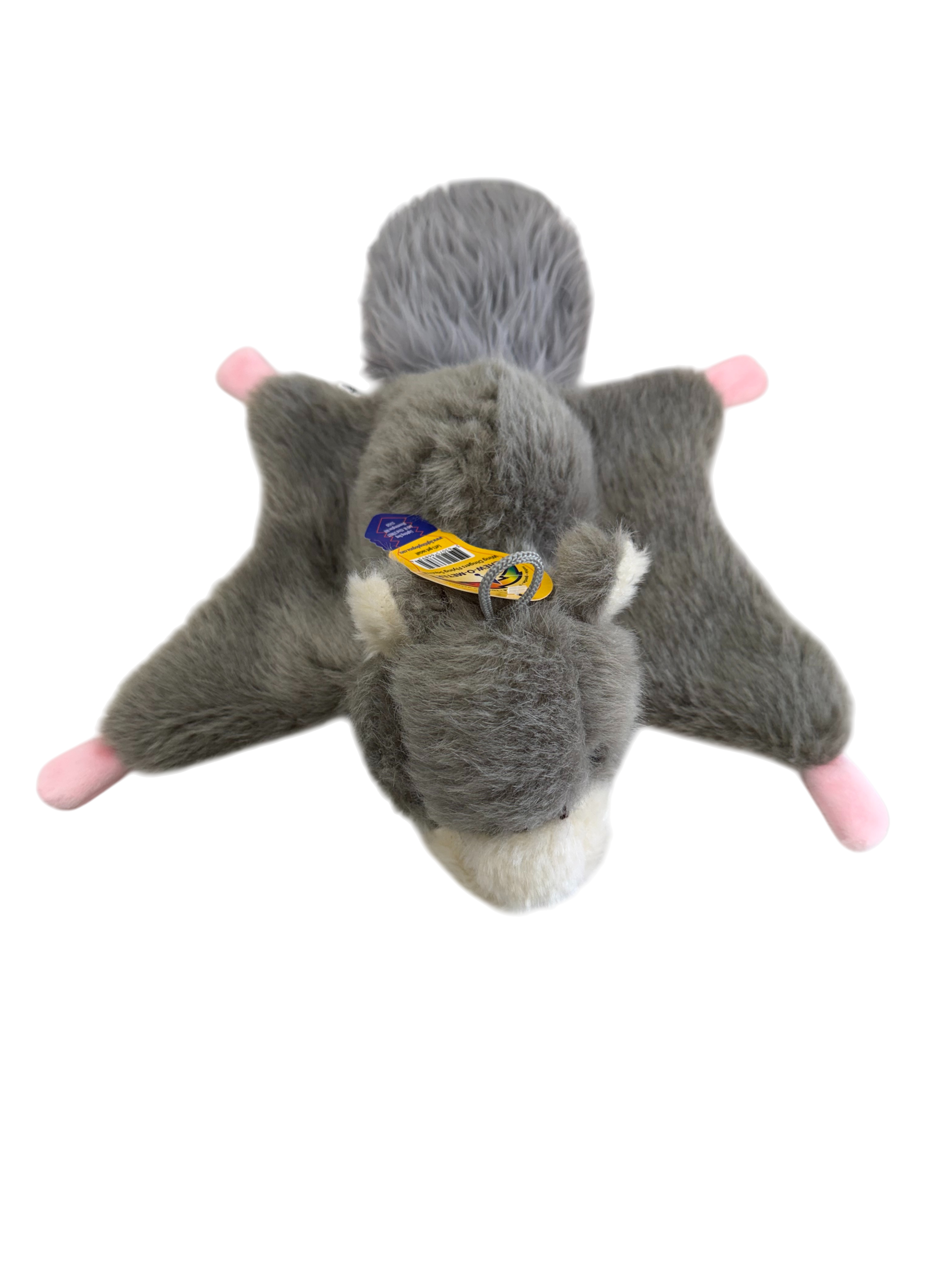 Wing Dinger - Flying Squirrel