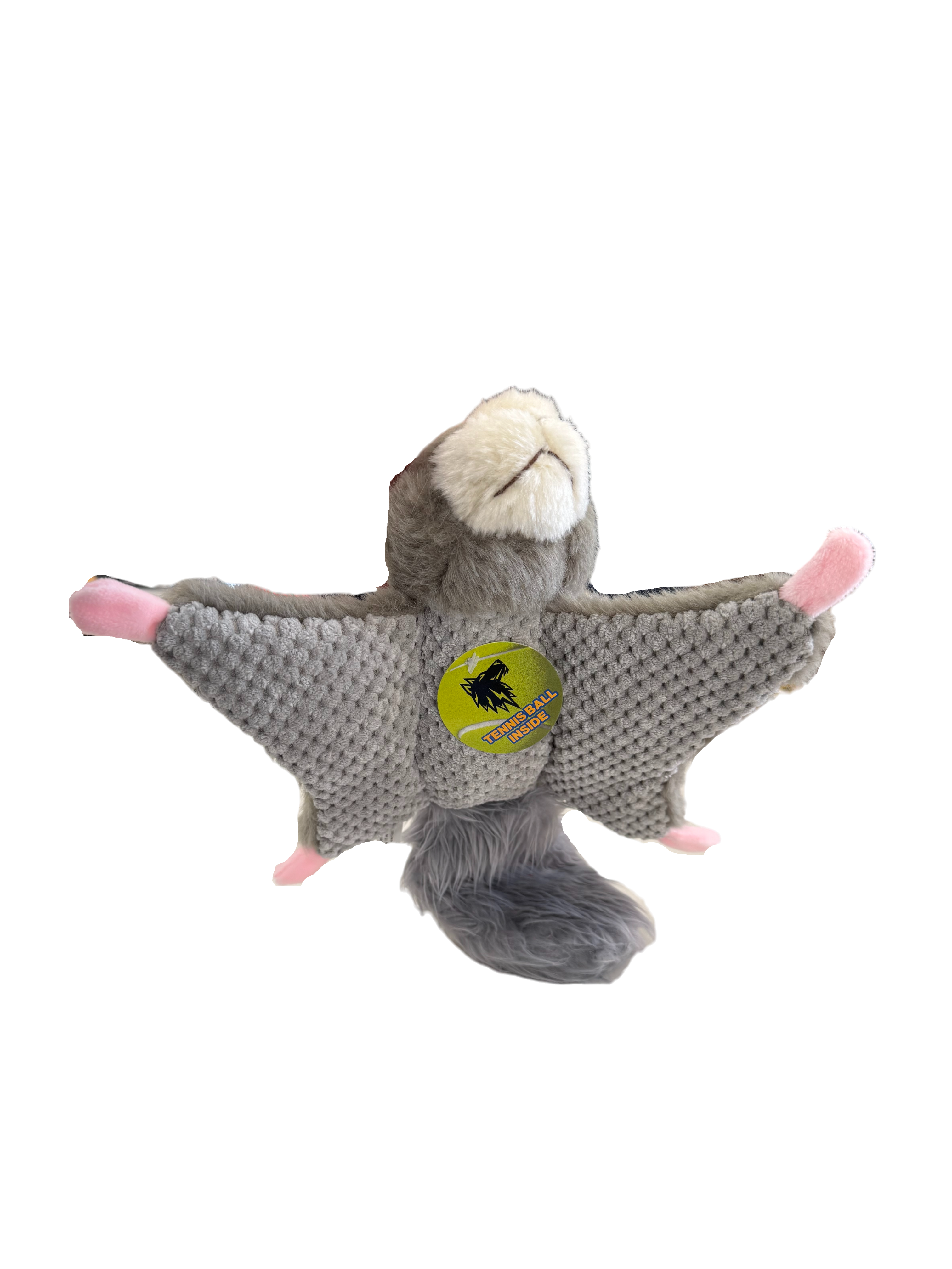 Wing Dinger - Flying Squirrel
