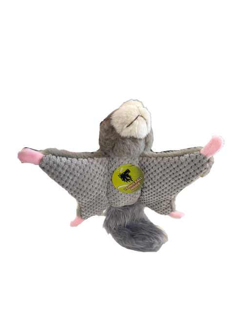 Wing Dinger - Flying Squirrel