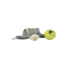 Wing Dinger - Flying Squirrel
