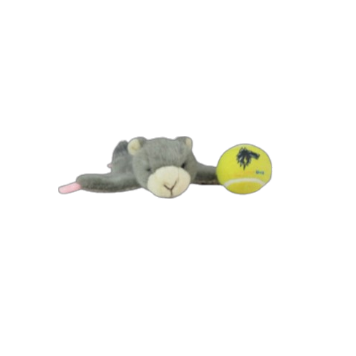 Wing Dinger - Flying Squirrel
