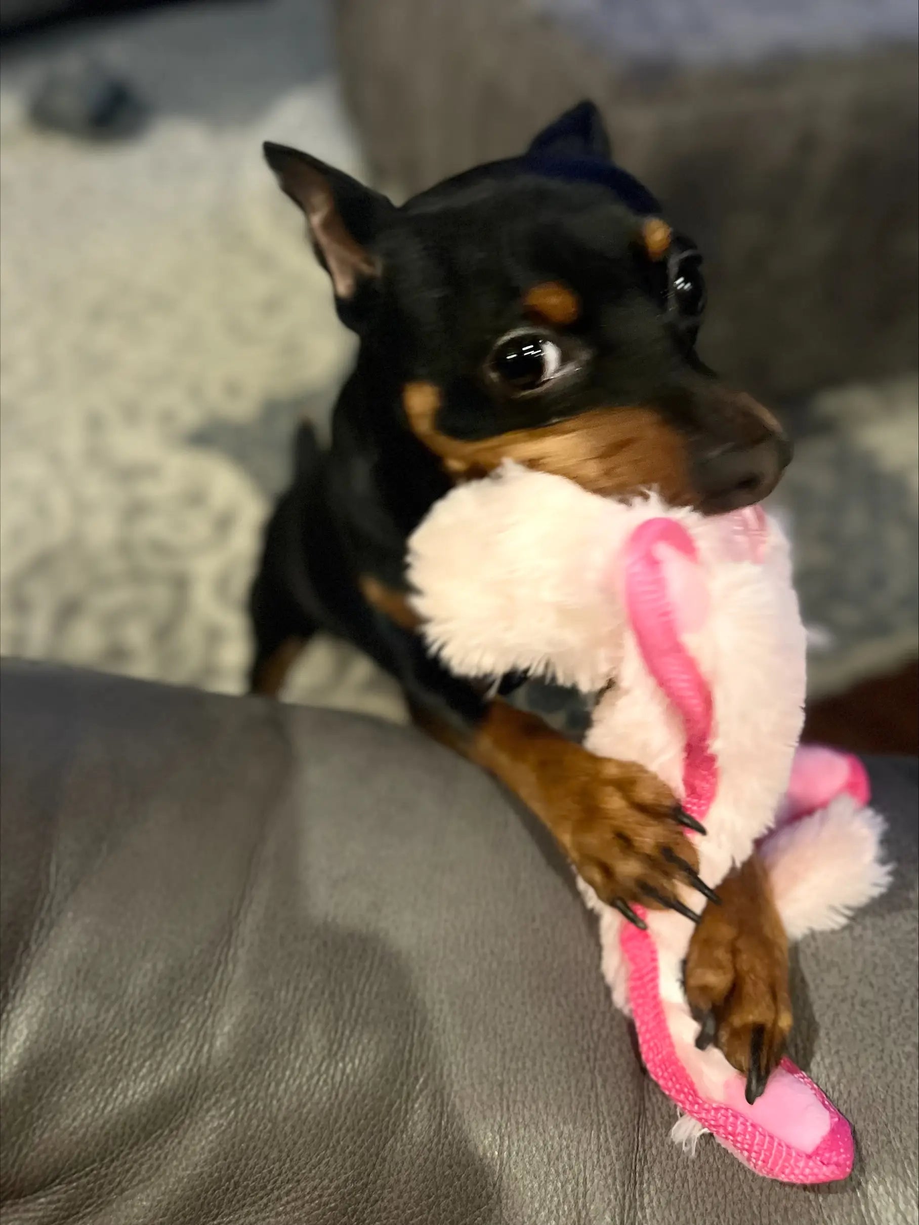Baby Fuzzy - Pink Piggy
