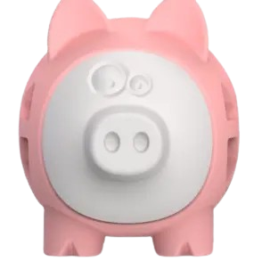 Random Roller - Pink Piggy