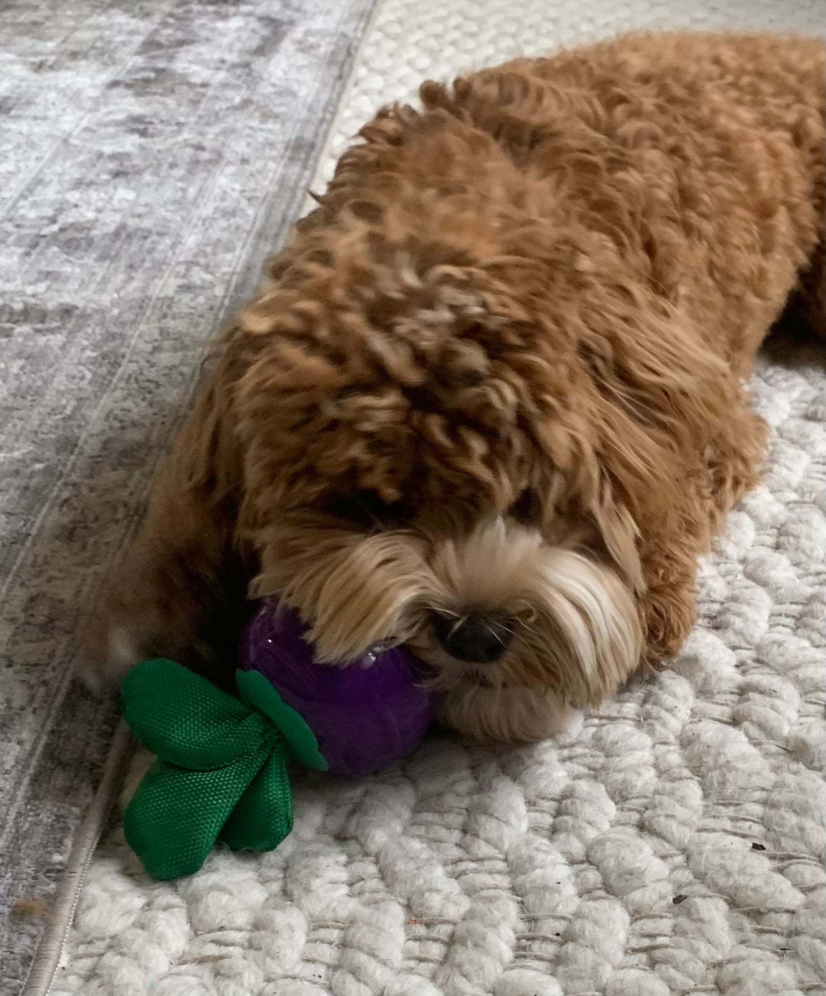 Tough Veggies - Purple Turnip